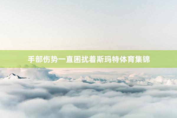 手部伤势一直困扰着斯玛特体育集锦