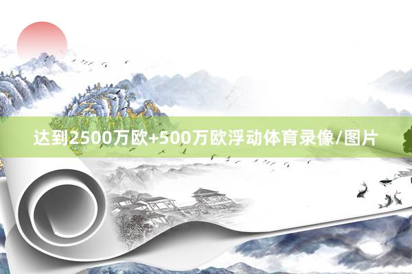 达到2500万欧+500万欧浮动体育录像/图片